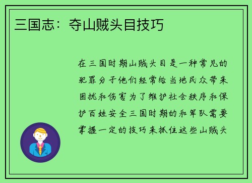三国志：夺山贼头目技巧